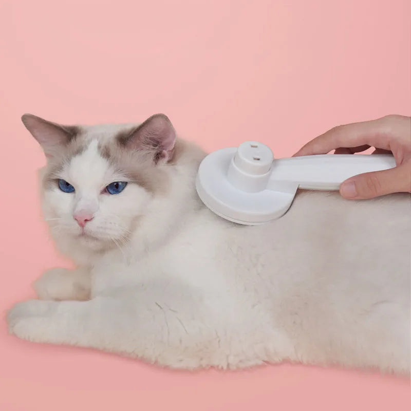 Pet Cat Brush