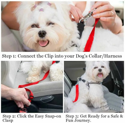 Dog seat belt