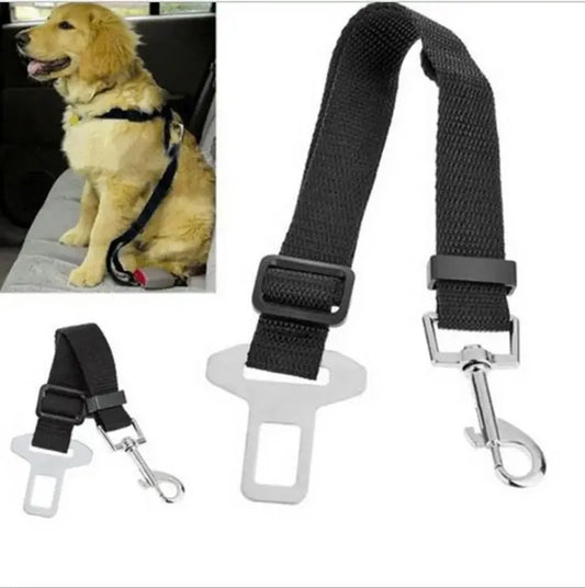 Dog seat belt