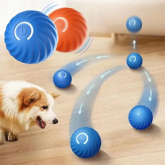 Smart Ball for Playing with Pets