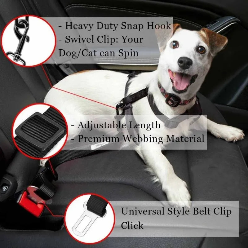 Dog seat belt