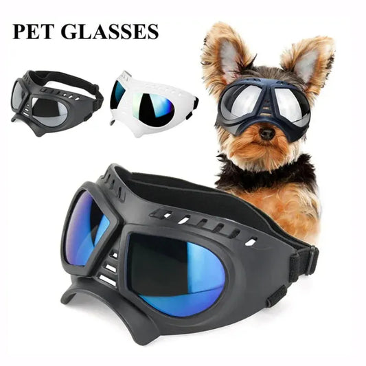 Black Dog Sunglasses