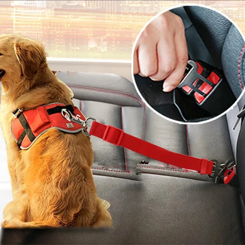 Dog seat belt